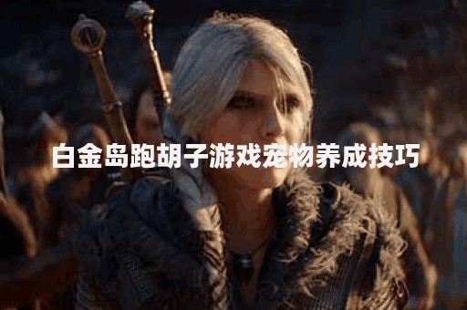 白金岛跑胡子游戏宠物养成技巧