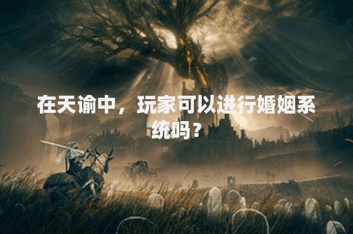 在天谕中，玩家可以进行婚姻系统吗？