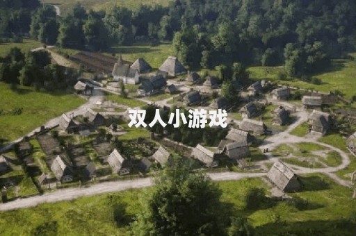 双人小游戏