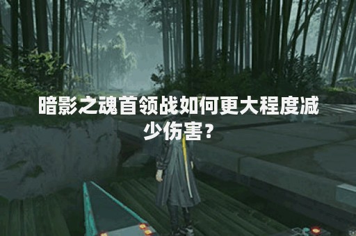 暗影之魂首领战如何更大程度减少伤害？