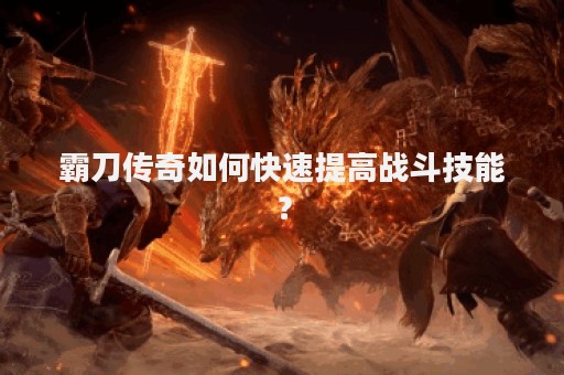 霸刀传奇如何快速提高战斗技能？