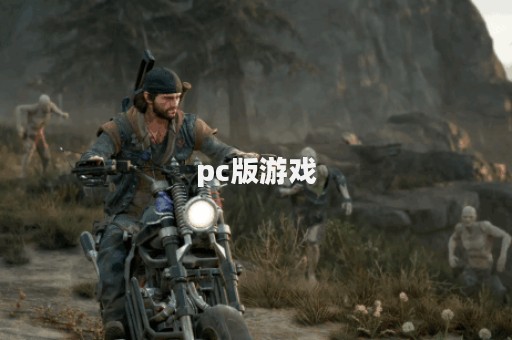pc版游戏