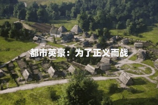都市英豪：为了正义而战