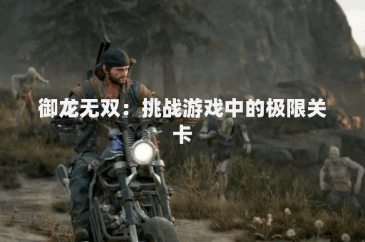御龙无双：挑战游戏中的极限关卡