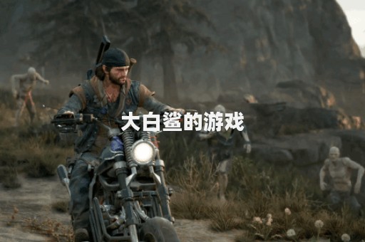 大白鲨的游戏