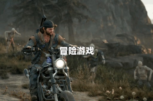 冒险游戏