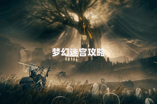 梦幻迷宫攻略