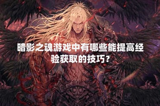 暗影之魂游戏中有哪些能提高经验获取的技巧？