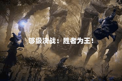 够级决战：胜者为王！