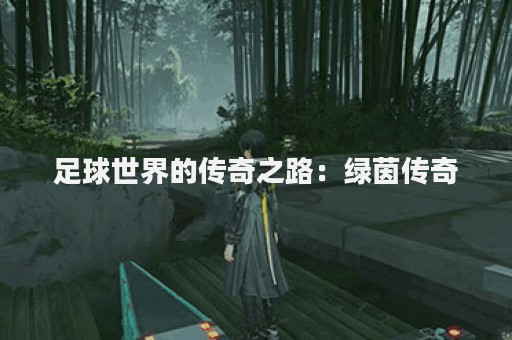 足球世界的传奇之路：绿茵传奇
