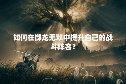 如何在御龙无双中提升自己的战斗阵容？