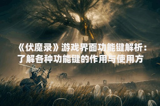 《伏魔录》游戏界面功能键解析：了解各种功能键的作用与使用方法。