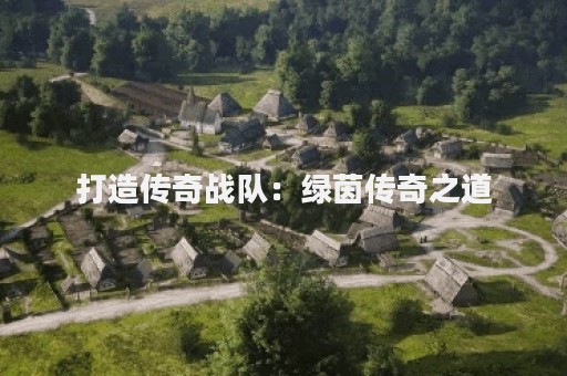 打造传奇战队：绿茵传奇之道