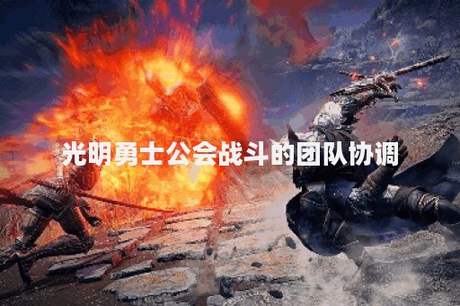 光明勇士公会战斗的团队协调