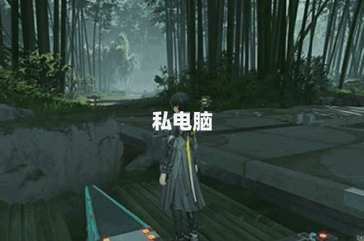 私电脑
