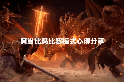 阿当比鸡比赛模式心得分享