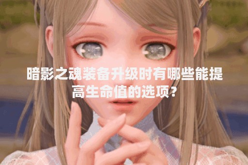 暗影之魂装备升级时有哪些能提高生命值的选项？