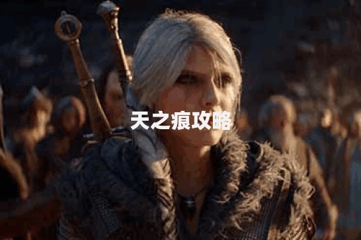 天之痕攻略