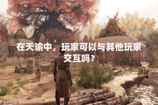 在天谕中，玩家可以与其他玩家交互吗？