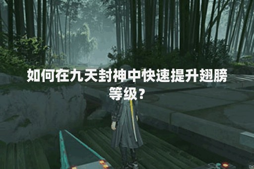 如何在九天封神中快速提升翅膀等级？