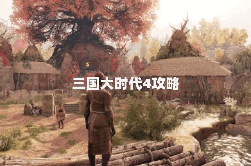 三国大时代4攻略