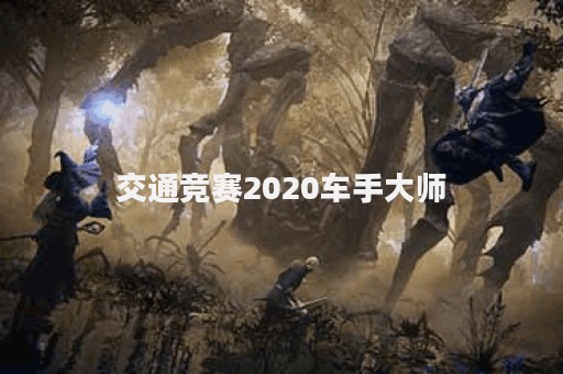 交通竞赛2020车手大师