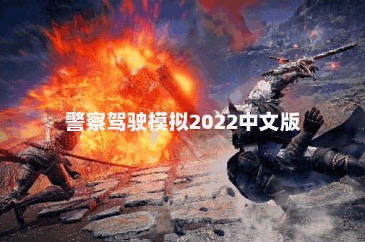 警察驾驶模拟2022中文版