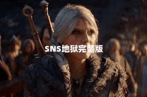 SNS地狱完整版