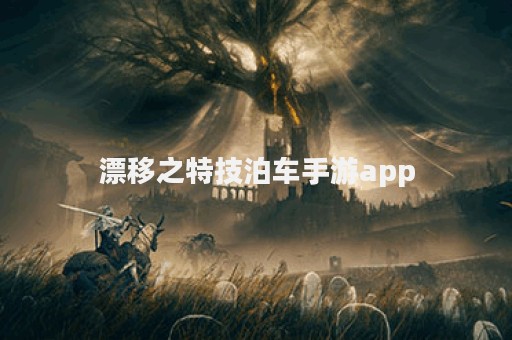 漂移之特技泊车手游app