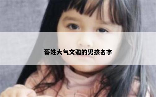 蔡姓大气文雅的男孩名字